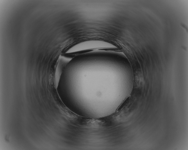 X0000091330379200708241206