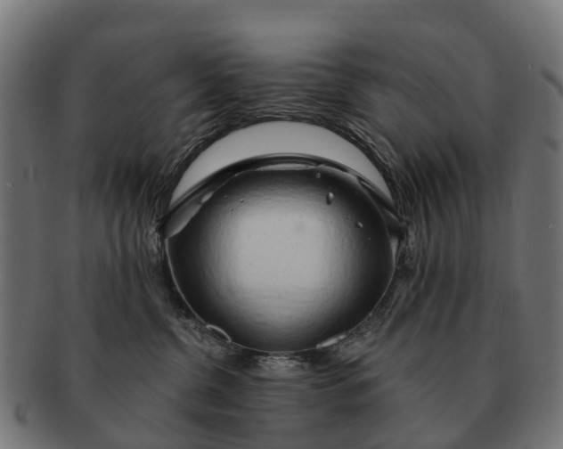 X0000091330380200708241206