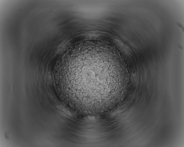 X0000091330381200708241206