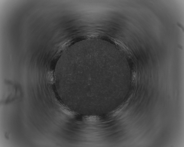 X0000091330383200708241206