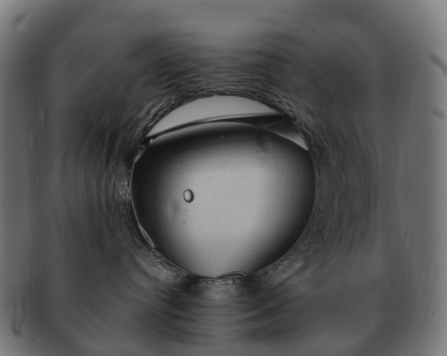 X0000091330384200708241206