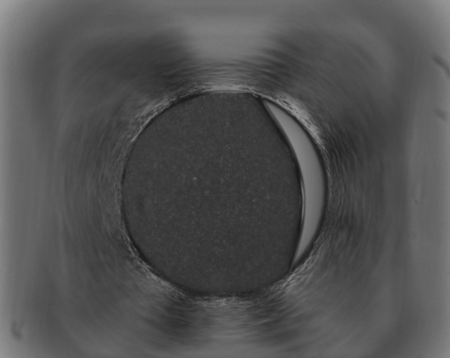 X0000091330385200708241206