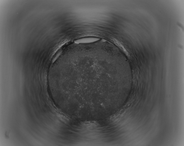 X0000091330386200708241206