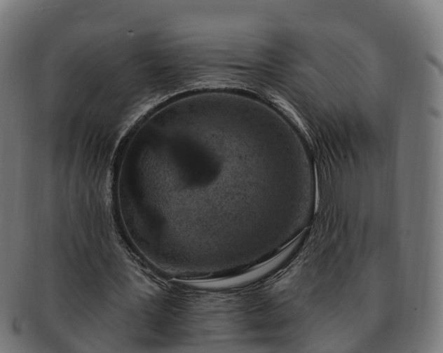 X0000091330387200708241206