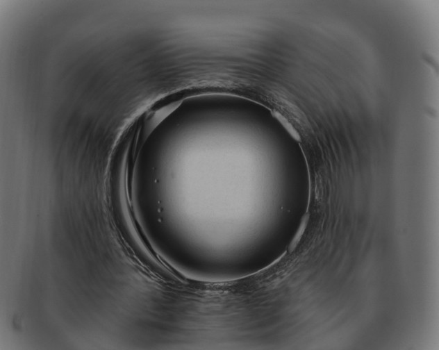 X0000091330388200708241206