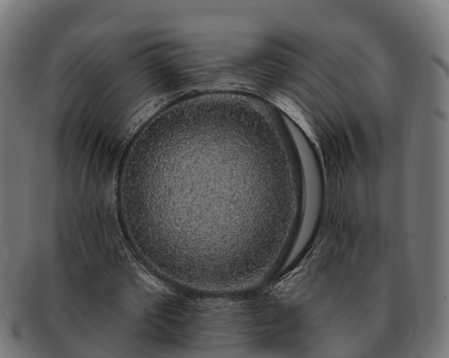 X0000091330389200708241206