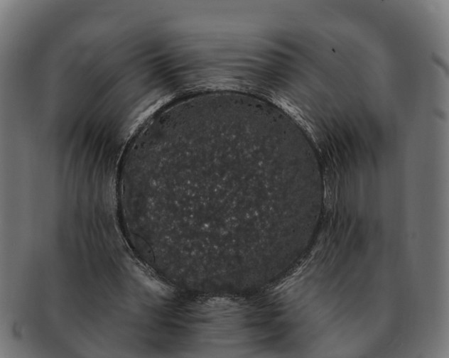 X0000091330390200708241206