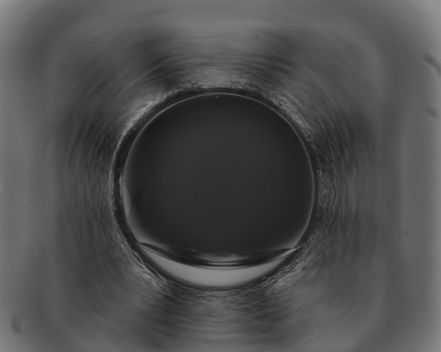 X0000091330391200708241205