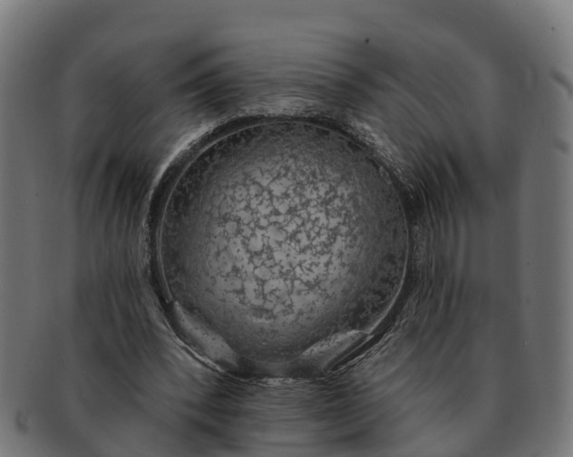 X0000091330392200708241205