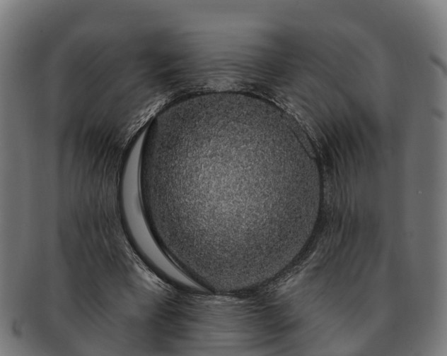 X0000091330393200708241205