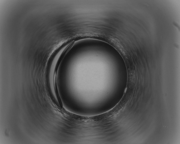 X0000091330395200708241205