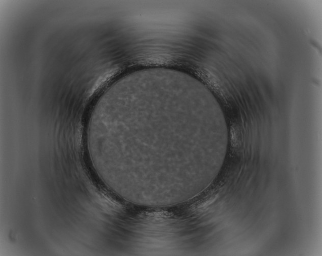 X0000091330396200708241205