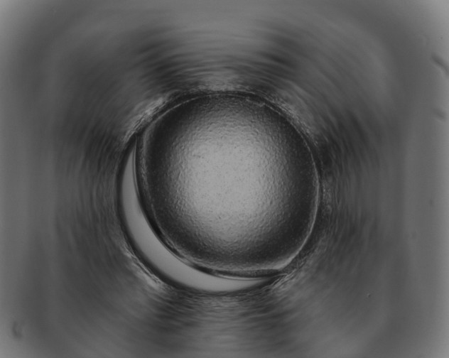 X0000091330397200708241205