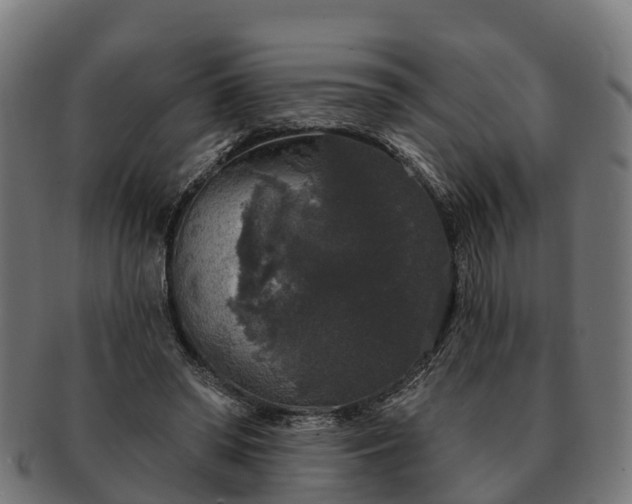 X0000091330398200708241205