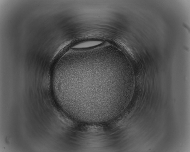 X0000091330400200708241205