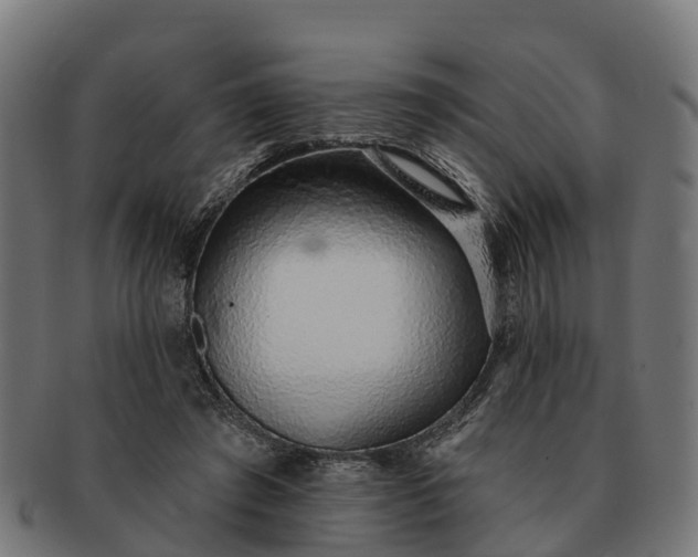 X0000091330401200708241205