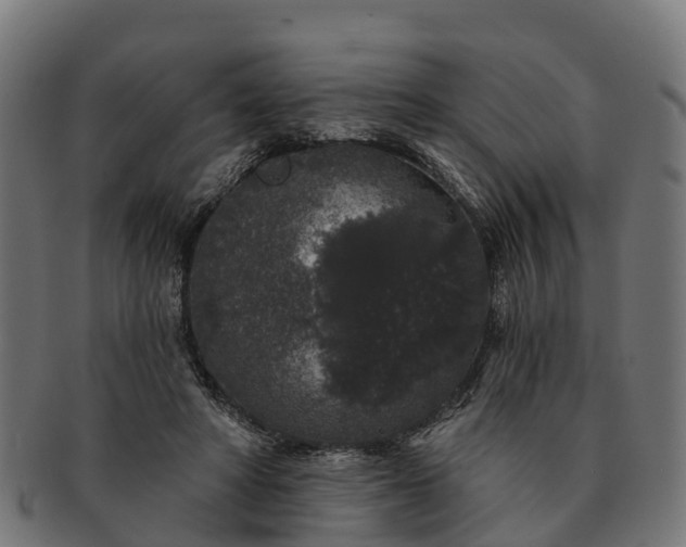 X0000091330402200708241205