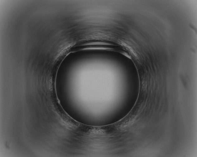 X0000091330403200708241205