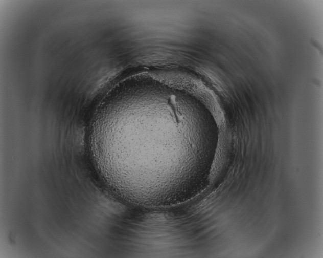 X0000091330404200708241205