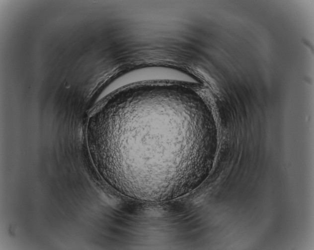 X0000091330405200708241205