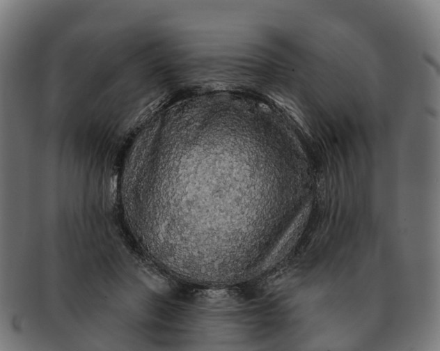 X0000091330406200708241205