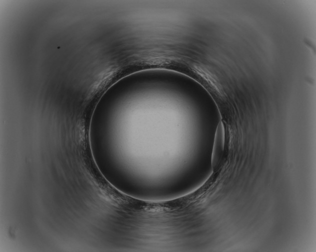 X0000091330407200708241205