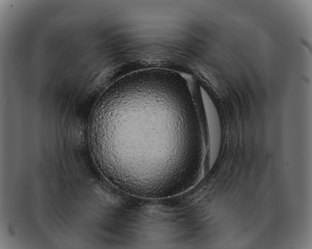 X0000091330408200708241205