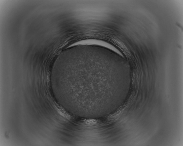 X0000091330409200708241205