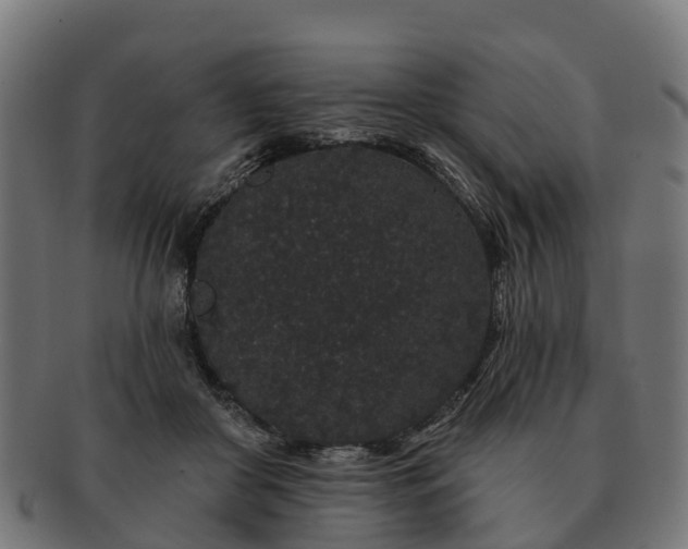 X0000091330410200708241205