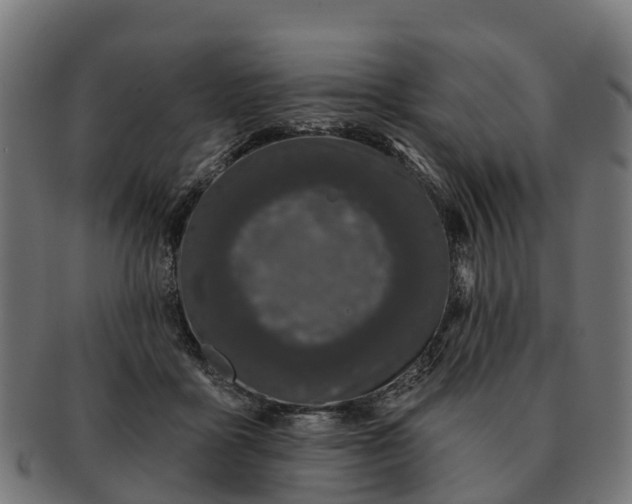 X0000091330411200708241205