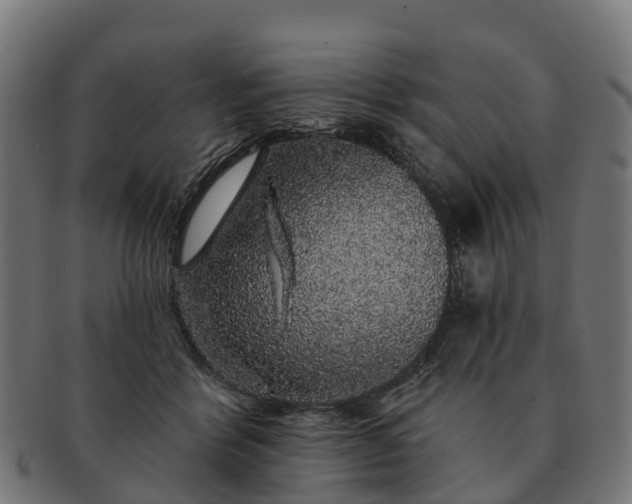 X0000091330412200708241205