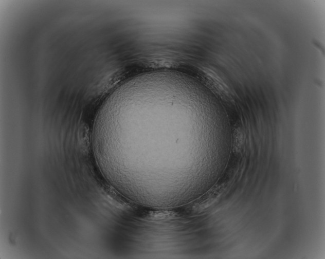 X0000091330414200708241205