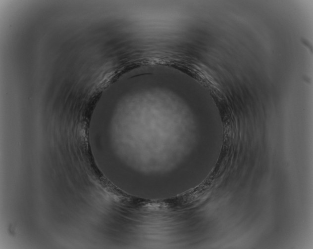 X0000091330415200708241205