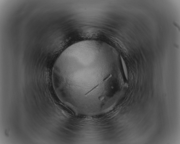 X0000091330416200708241205