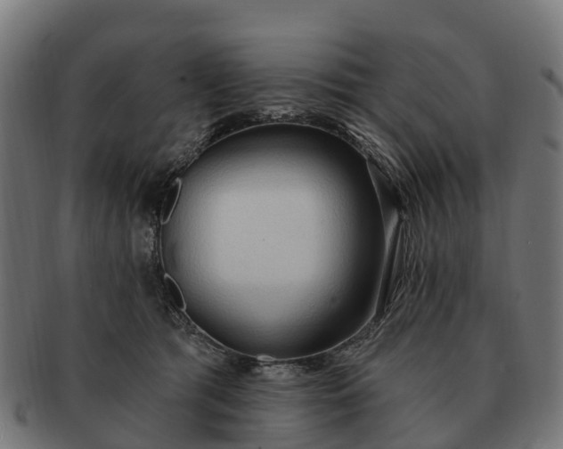 X0000091330417200708241205