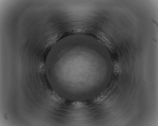 X0000091330419200708241205