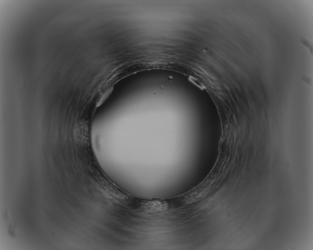 X0000091330421200708241205