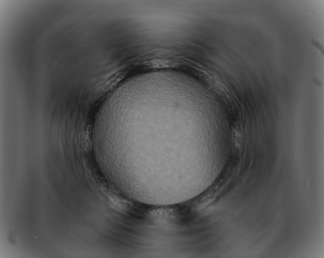 X0000091330422200708241205