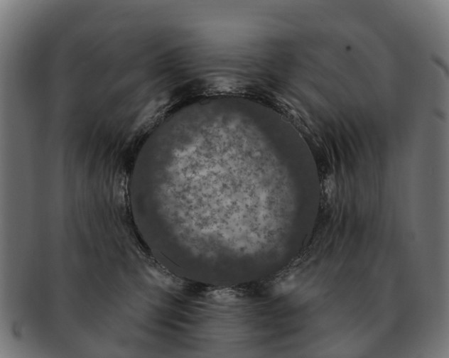 X0000091330423200708241205