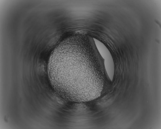 X0000091330424200708241205