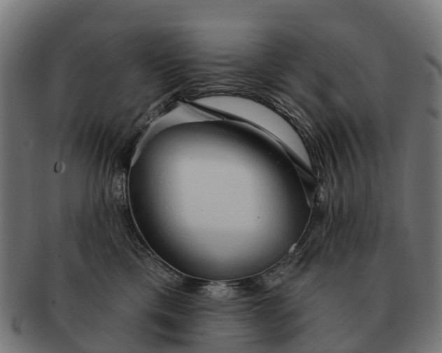 X0000091330425200708241205