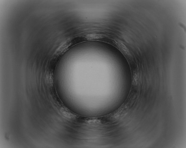 X0000091330426200708241205