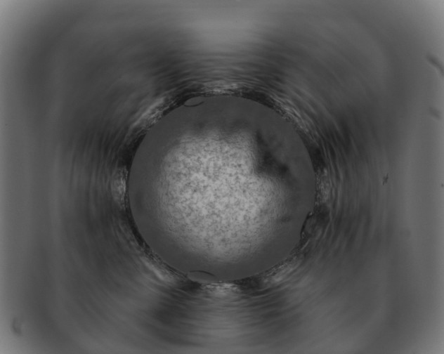 X0000091330427200708241205