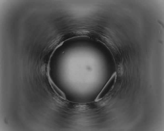 X0000091330428200708241205