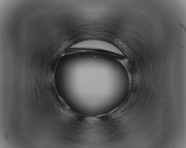 X0000091330429200708241205