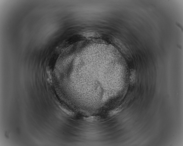 X0000091330430200708241205