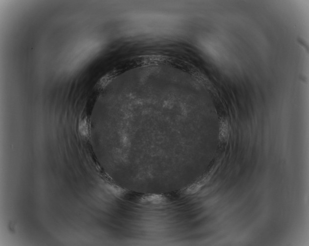 X0000091330431200708241205