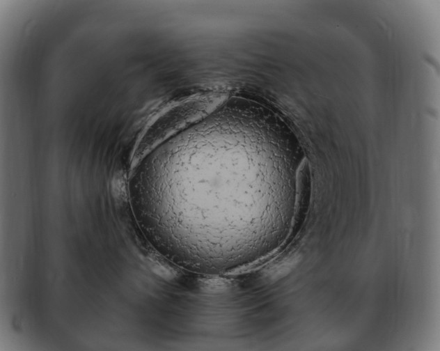 X0000091330432200708241205