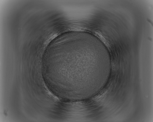 X0000091330433200708241204