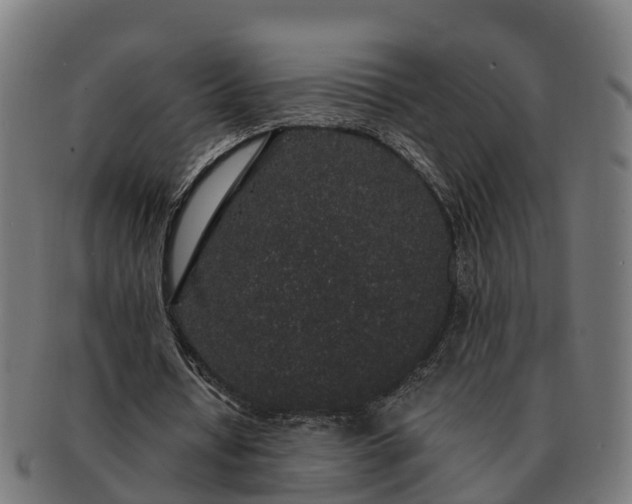 X0000091330434200708241204